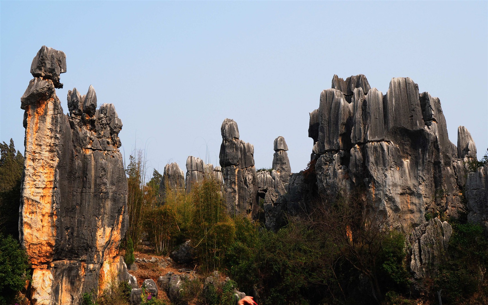 Stone Lesní v souladu Yunnan (2) (Khitan vlk práce) #24 - 1680x1050