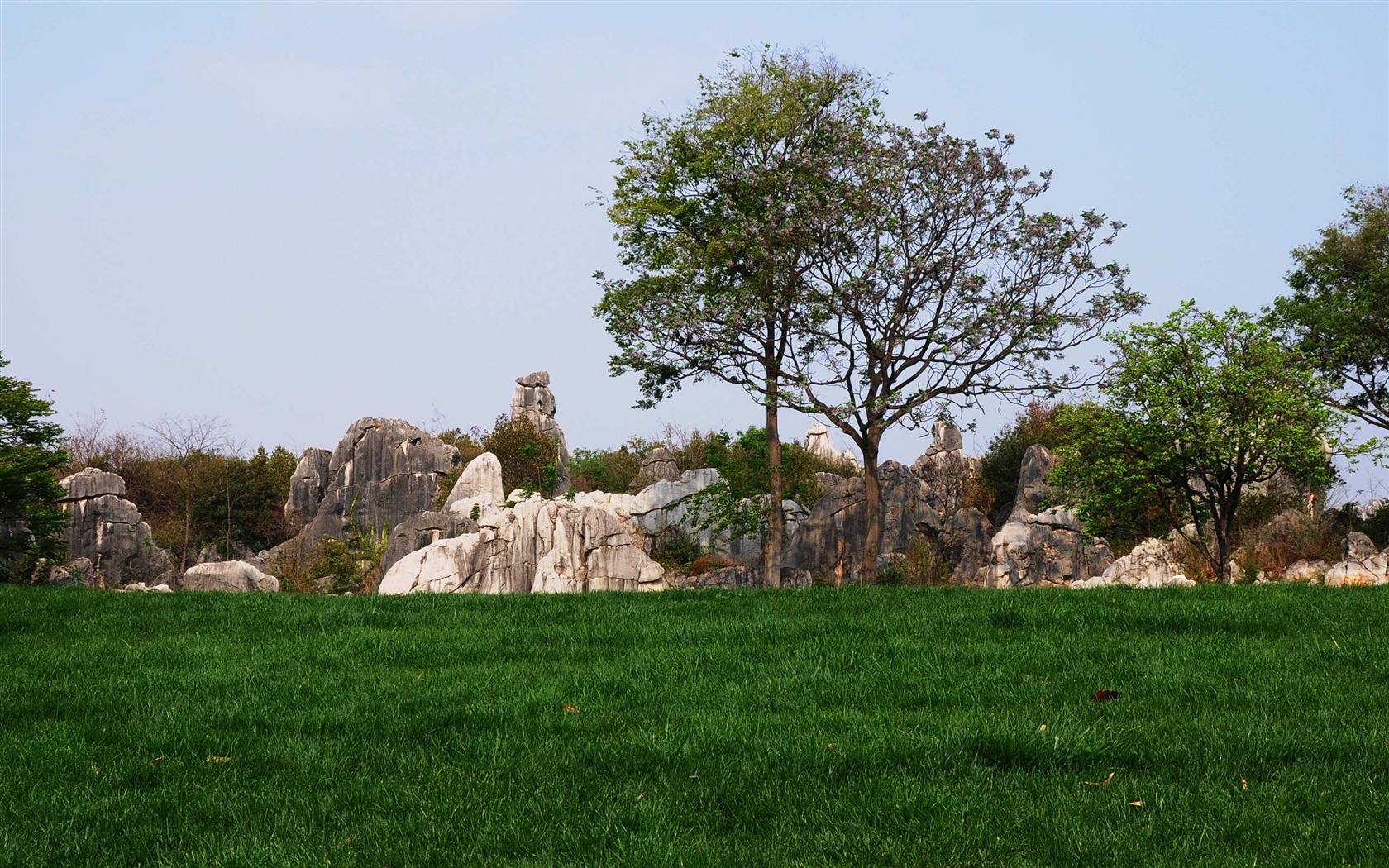 Stone Lesní v souladu Yunnan (2) (Khitan vlk práce) #28 - 1680x1050