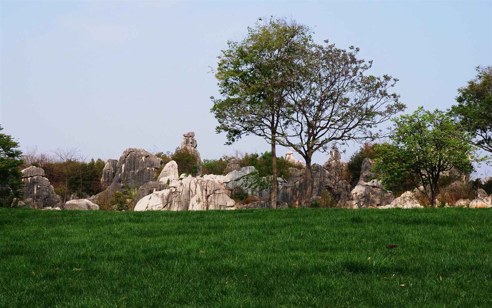 Stone Forest in Yunnan line (2) (Khitan wolf works) #28 - 1680x1050