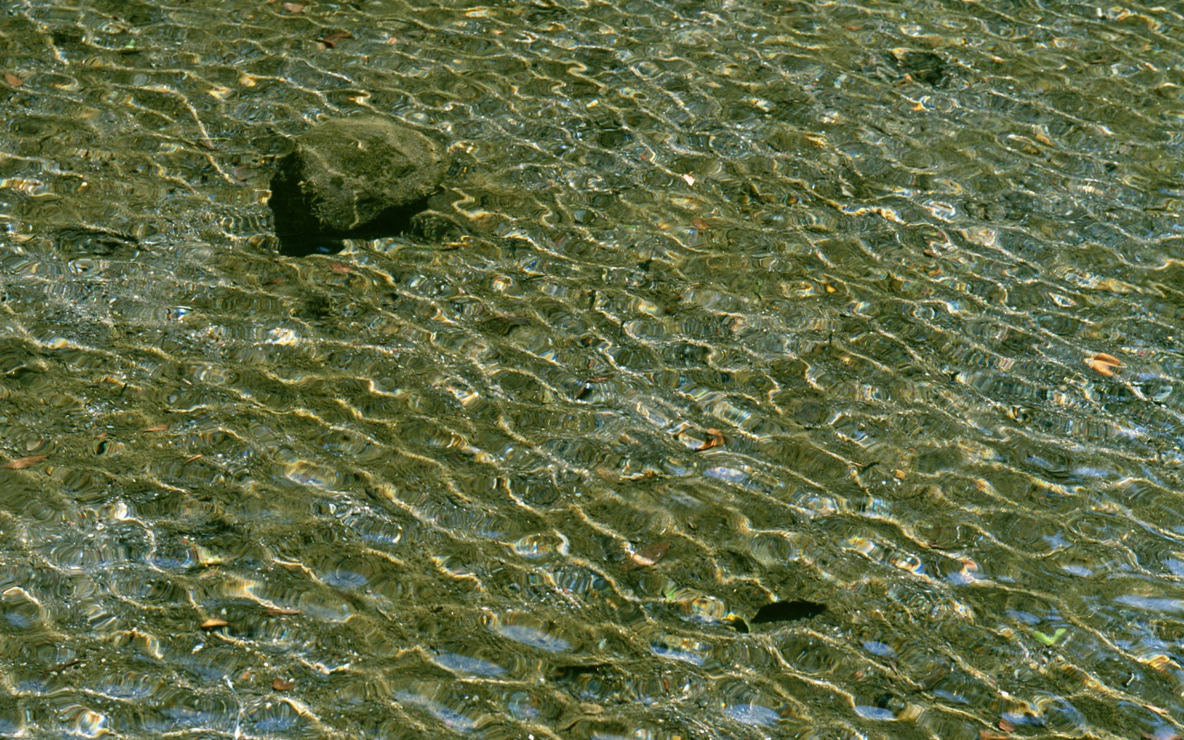 Stream Celovečerní Wallpaper (2) #5 - 1680x1050