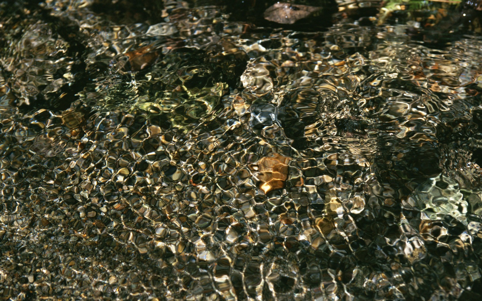 Stream Celovečerní Wallpaper (2) #6 - 1680x1050