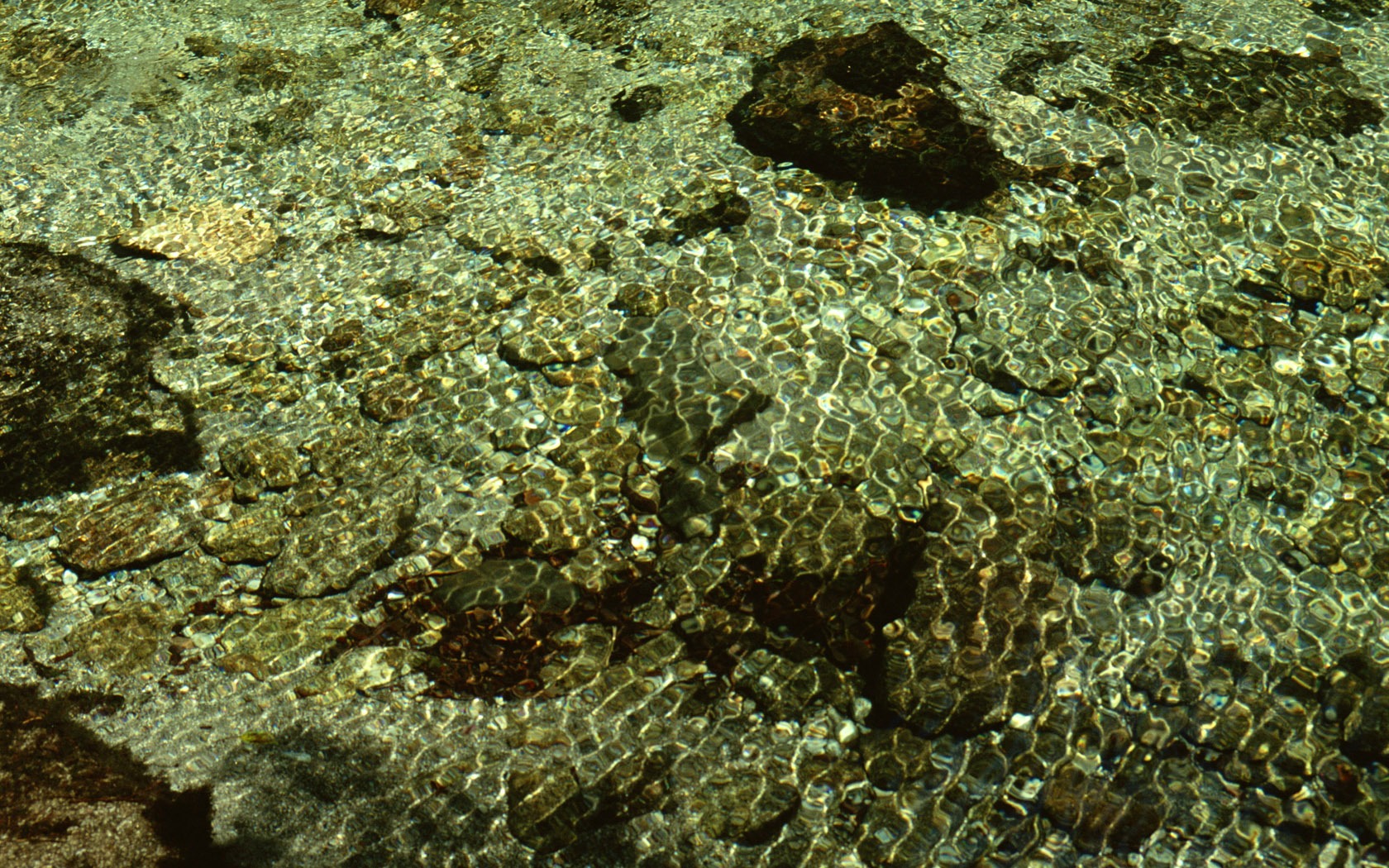 Stream Celovečerní Wallpaper (2) #9 - 1680x1050