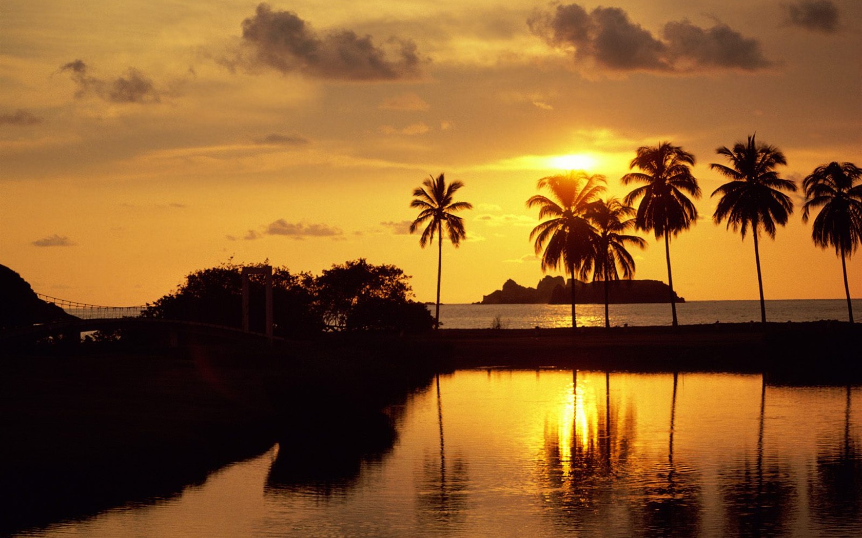 Fond d'écran Palm arbre coucher de soleil (2) #5 - 1680x1050