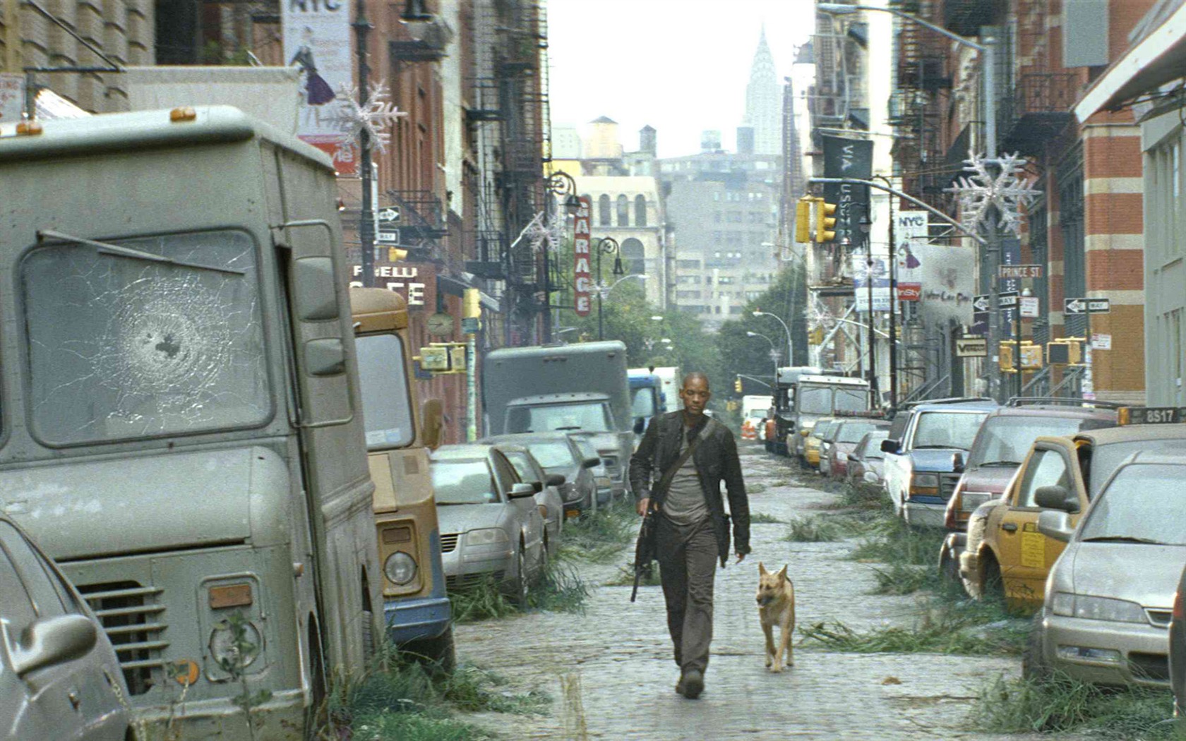 I Am Legend HD tapetu #6 - 1680x1050