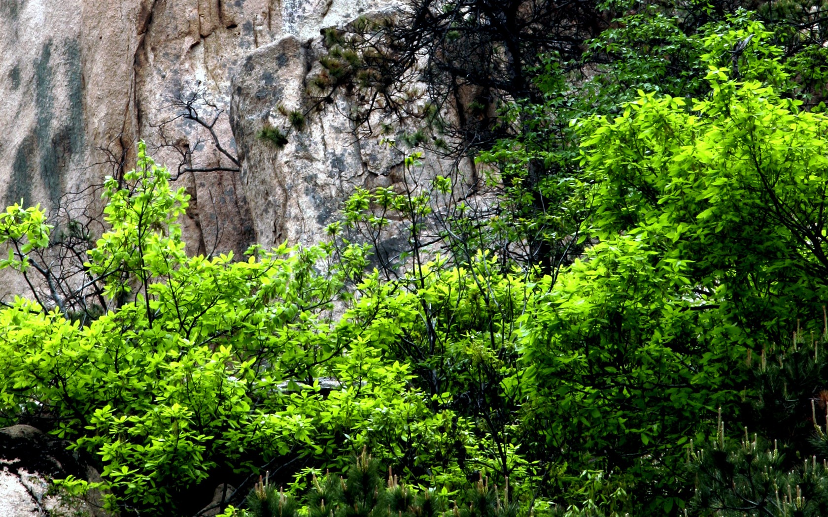 Fotografía de paisaje (2) (Li trabaja Shanquan) #6 - 1680x1050