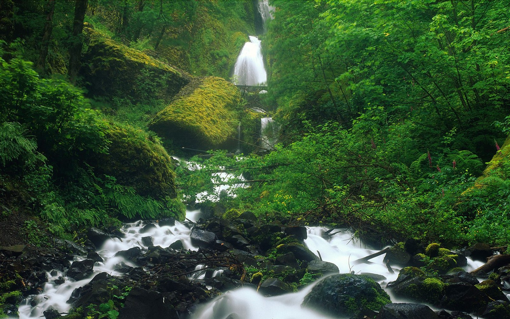 Waterfall streams wallpaper (7) #12 - 1680x1050