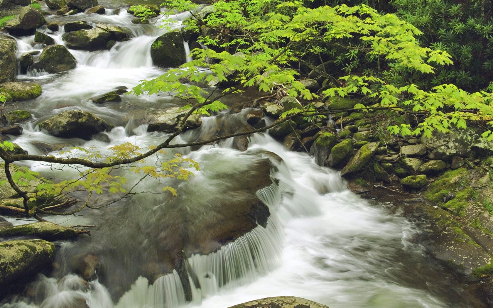 Waterfall streams wallpaper (8) #2 - 1680x1050