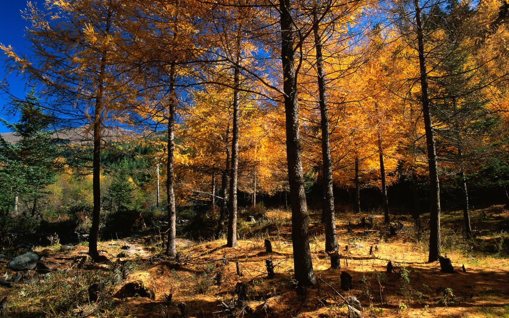 Fotografování krajiny (8) (Li Shanquan práce) #19 - 1680x1050