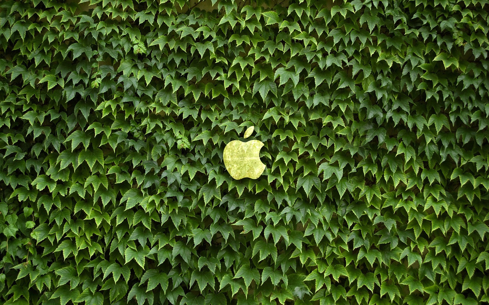 album Apple wallpaper thème (18) #17 - 1680x1050