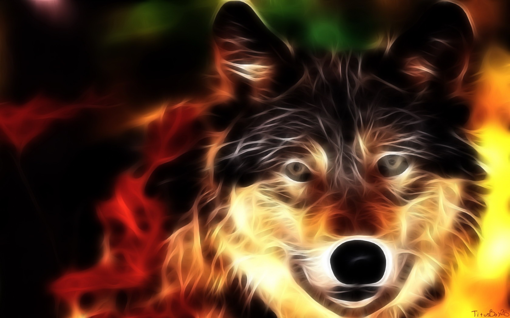 Non-tradiční obrazovce tapeta #5 - 1680x1050
