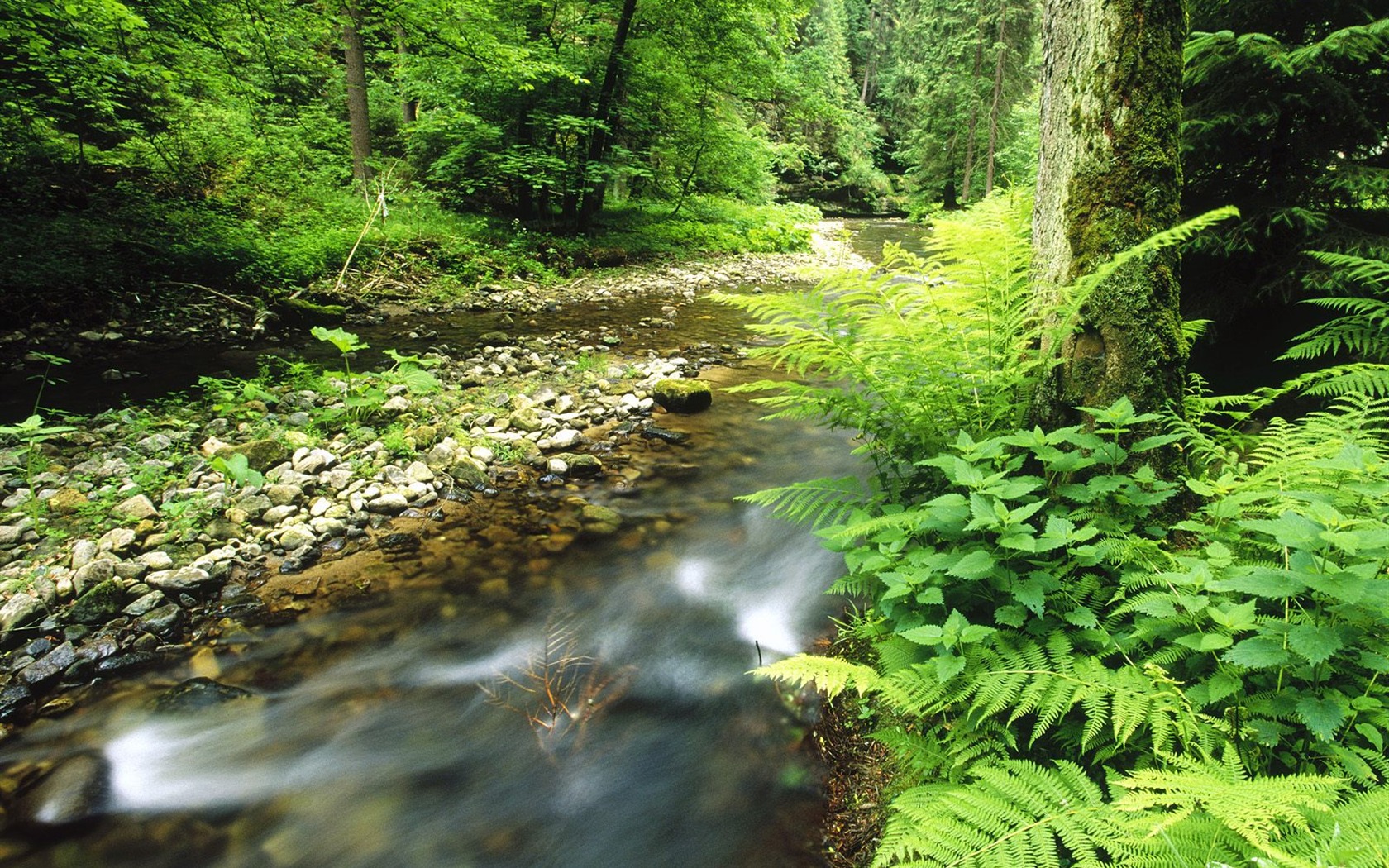 Waterfall streams wallpaper (9) #1 - 1680x1050