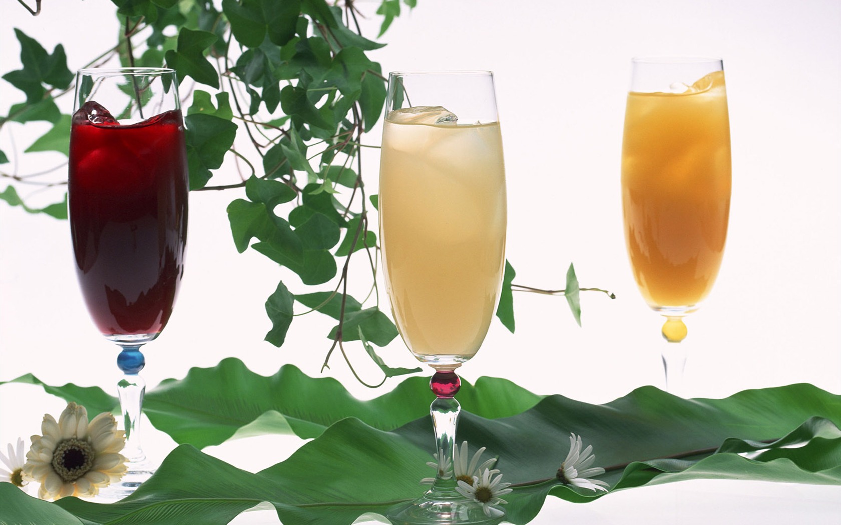 Drinks wallpaper (1) #20 - 1680x1050