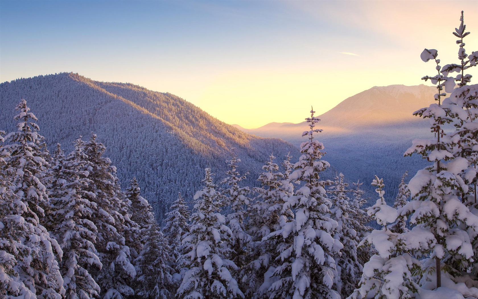 Snow widescreen wallpaper (1) #3 - 1680x1050
