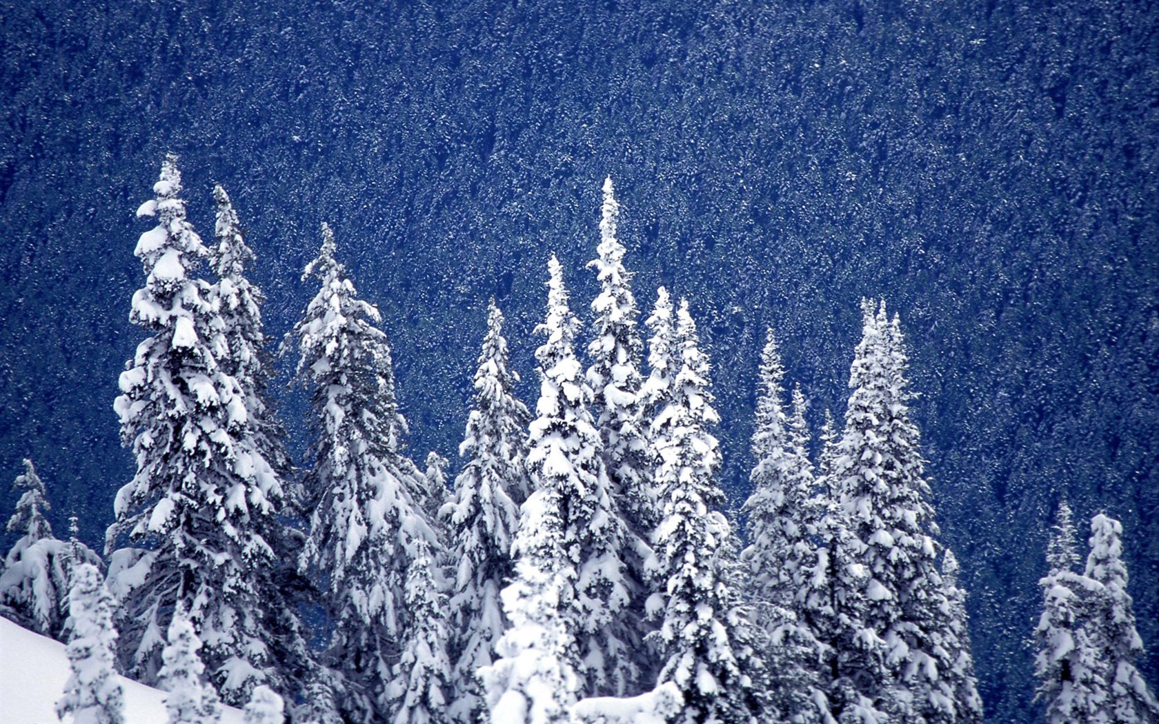 Fond d'écran panoramique de neige (1) #14 - 1680x1050