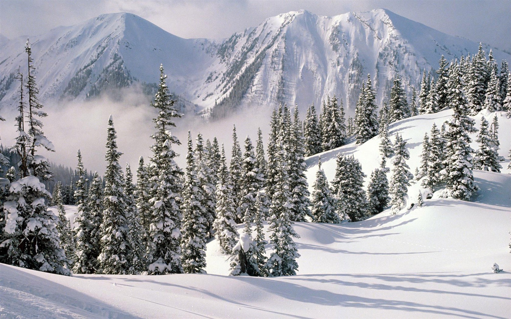 Fond d'écran panoramique de neige (1) #19 - 1680x1050