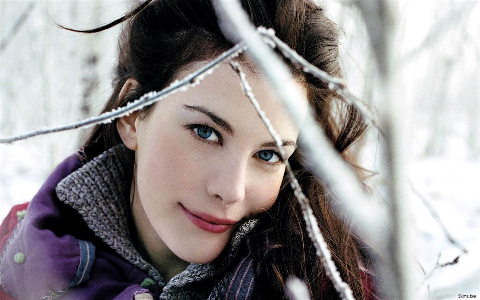 Liv Tyler krásnou tapetu #30 - 1680x1050