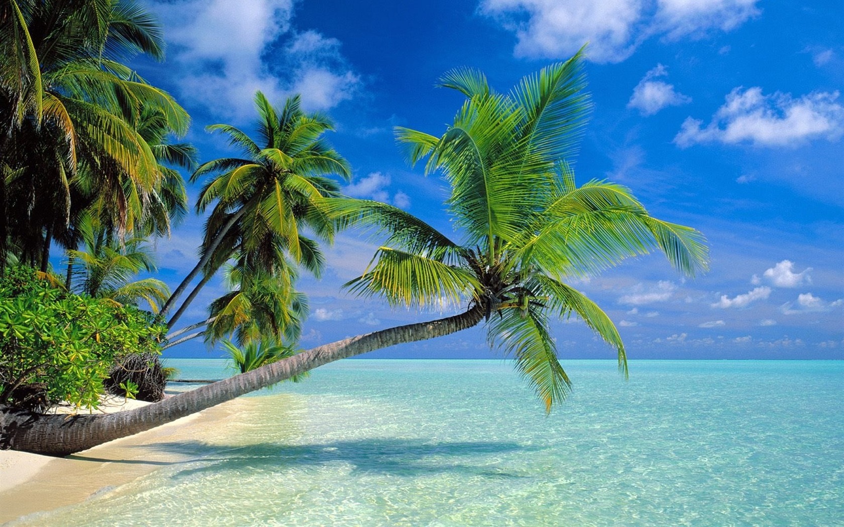 Beach scenery wallpapers (6) #2 - 1680x1050