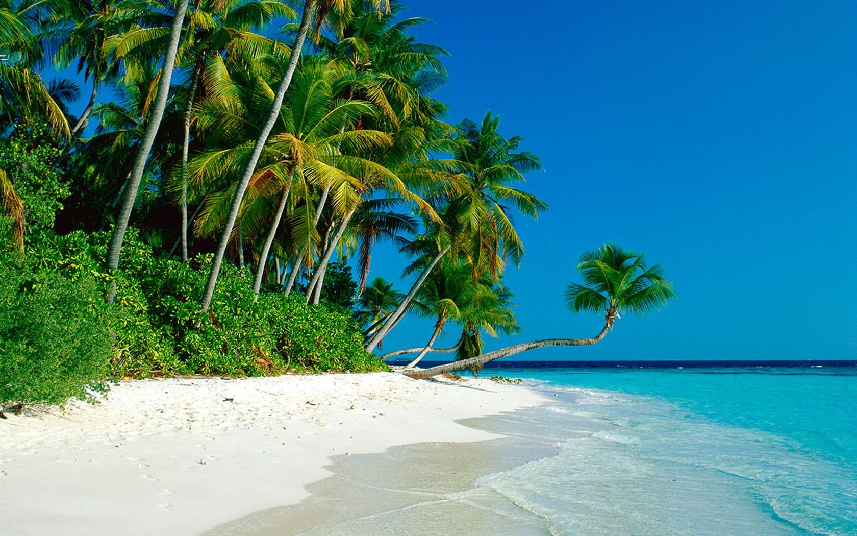 Beach scenery wallpapers (6) #8 - 1680x1050