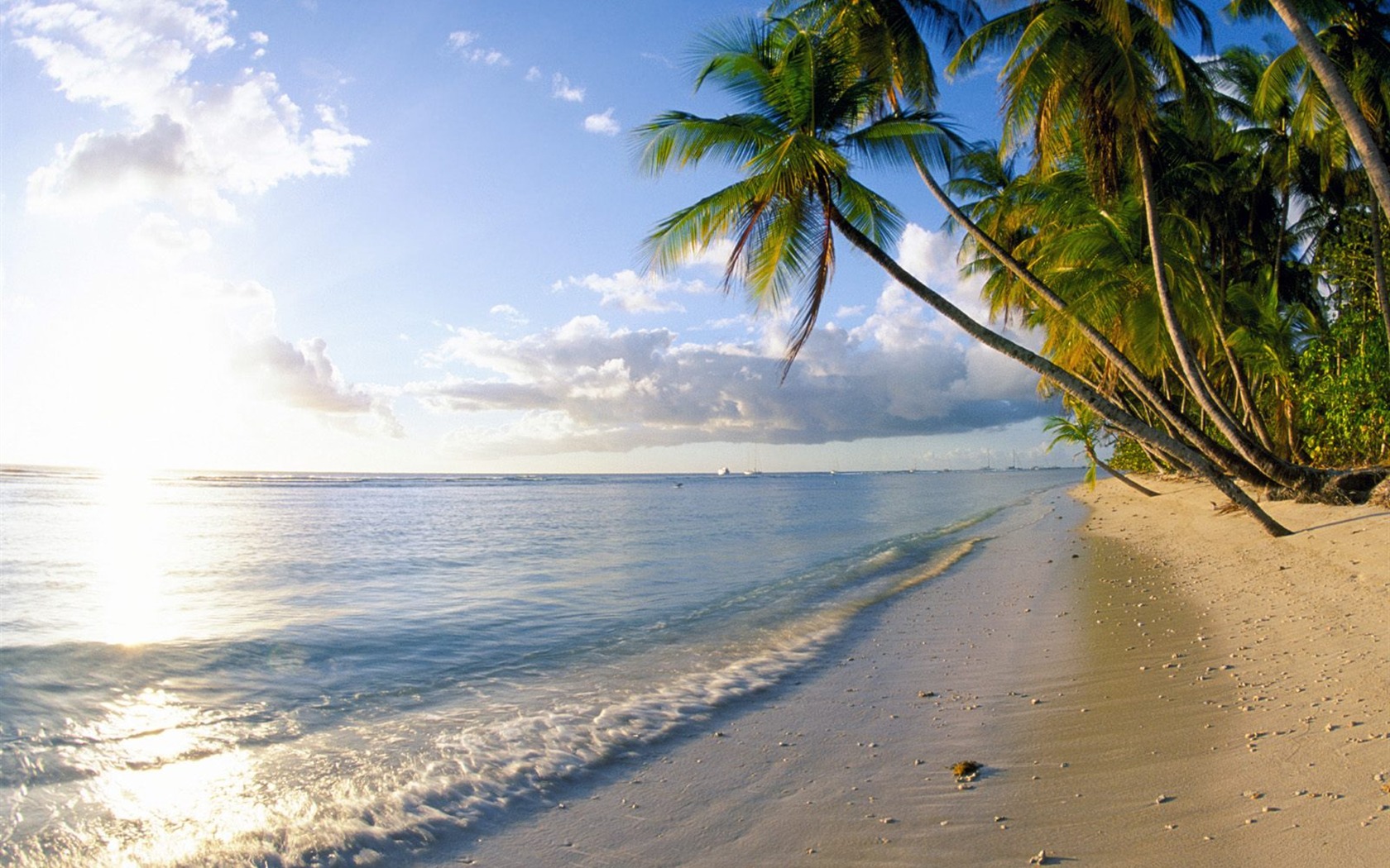 Beach scenery wallpapers (6) #18 - 1680x1050