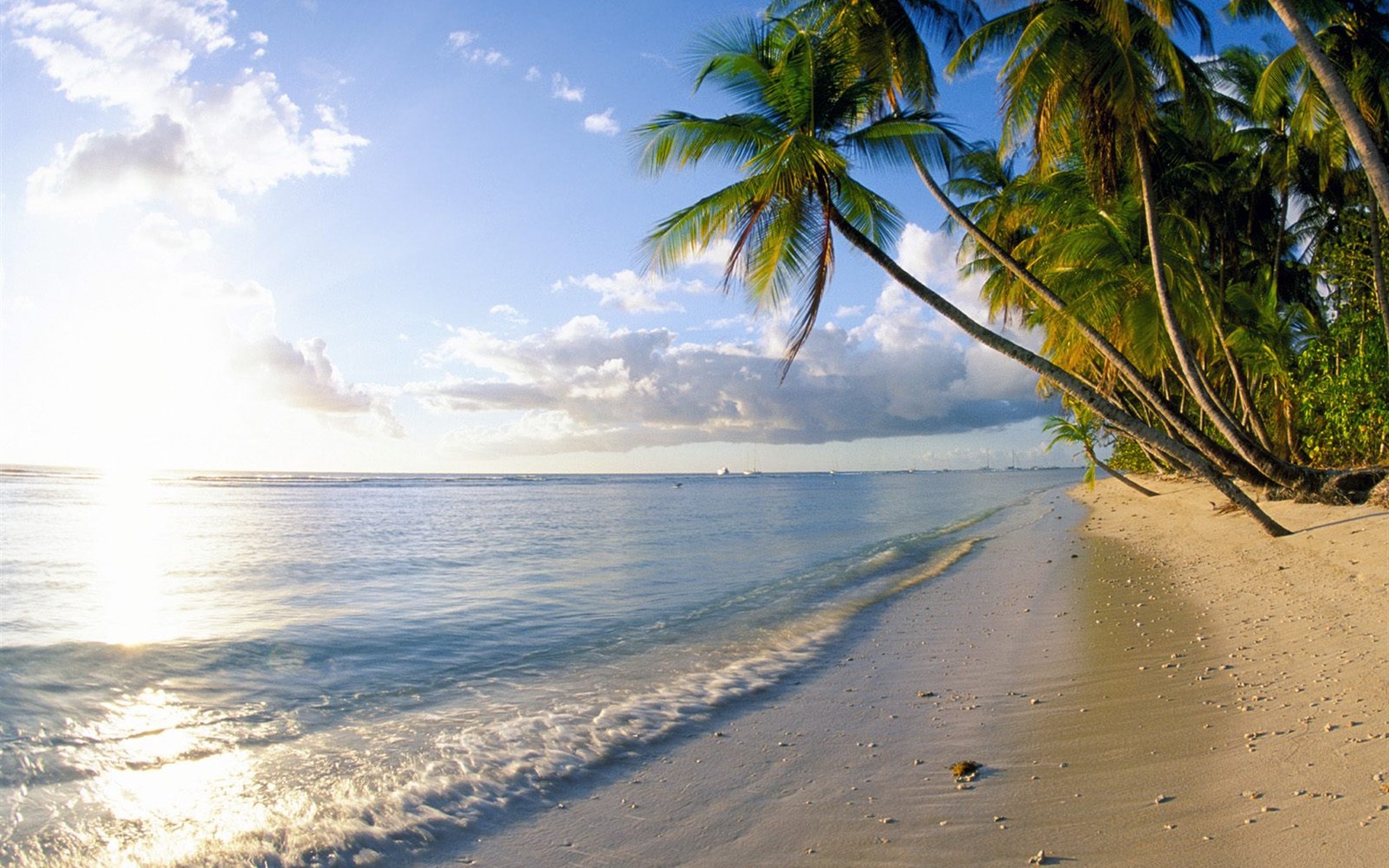 Fonds d'écran paysage de plage (6) #18 - 1680x1050