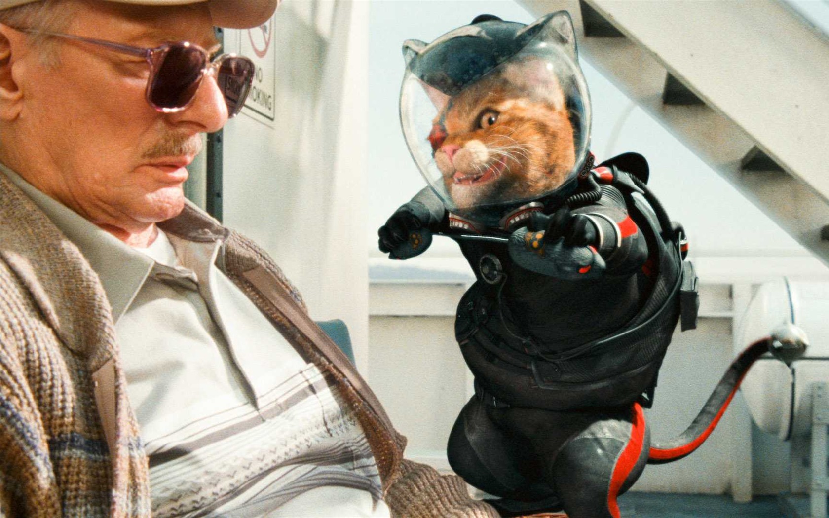 Kočky a psi: Revenge of Kitty Galore tapety HD #15 - 1680x1050