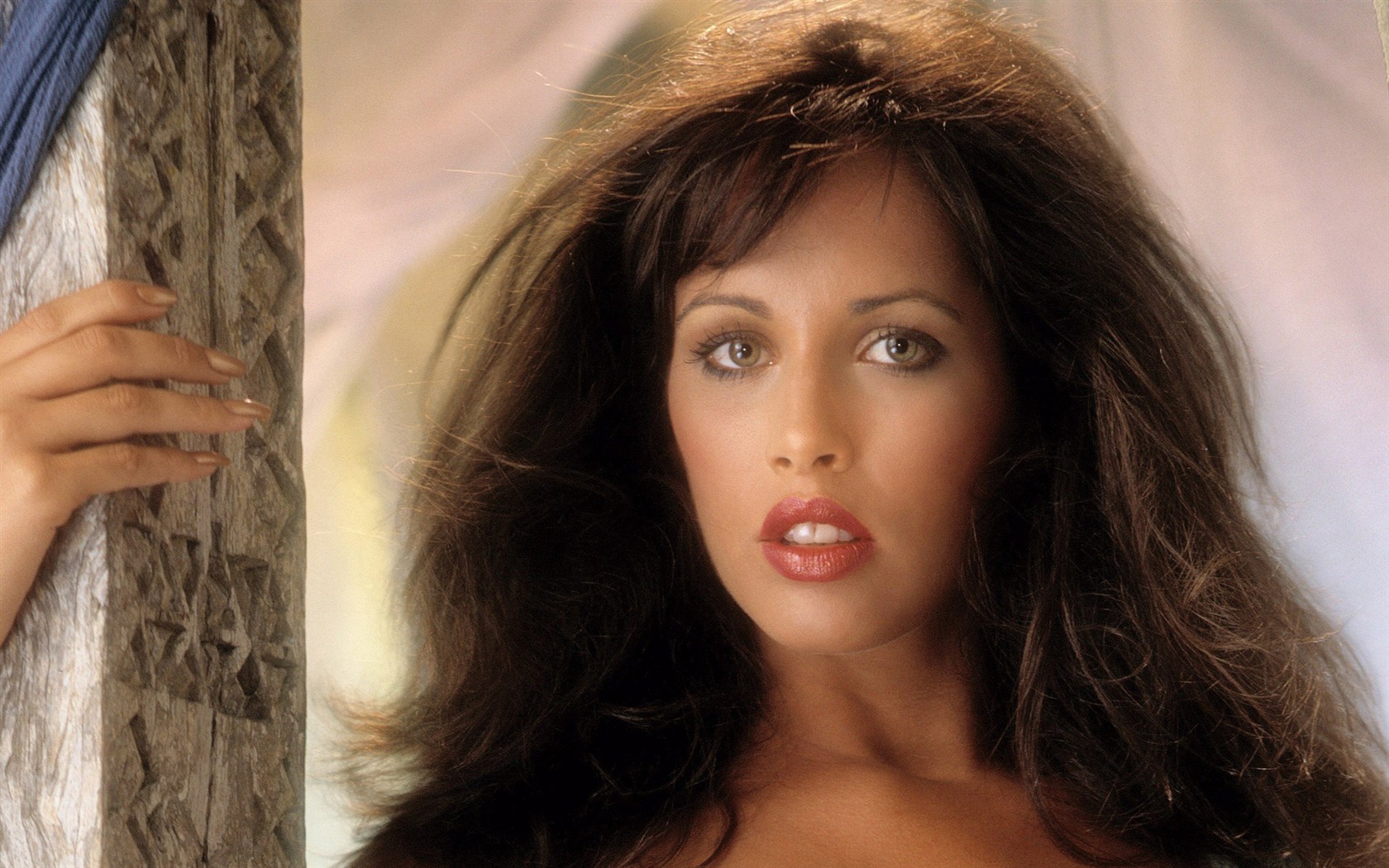PlayBoy beautiful HD wallpaper (11) #8 - 1680x1050