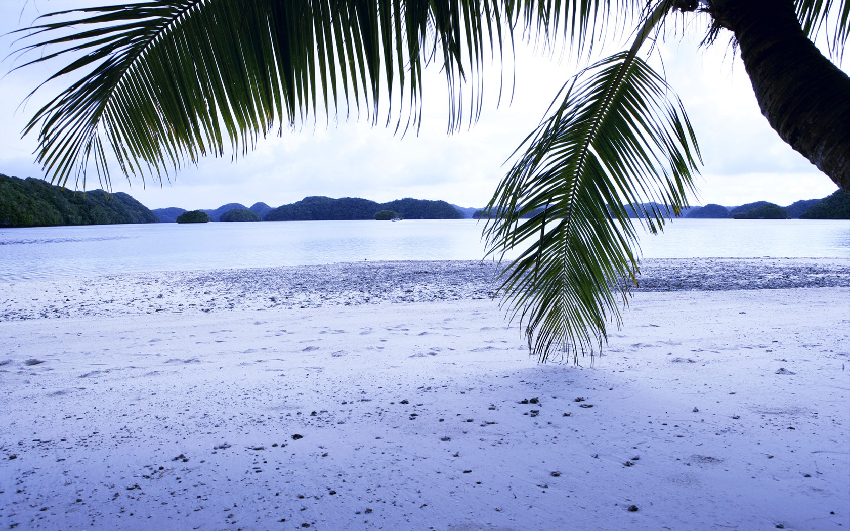 Beach foto tapety (1) #19 - 1680x1050