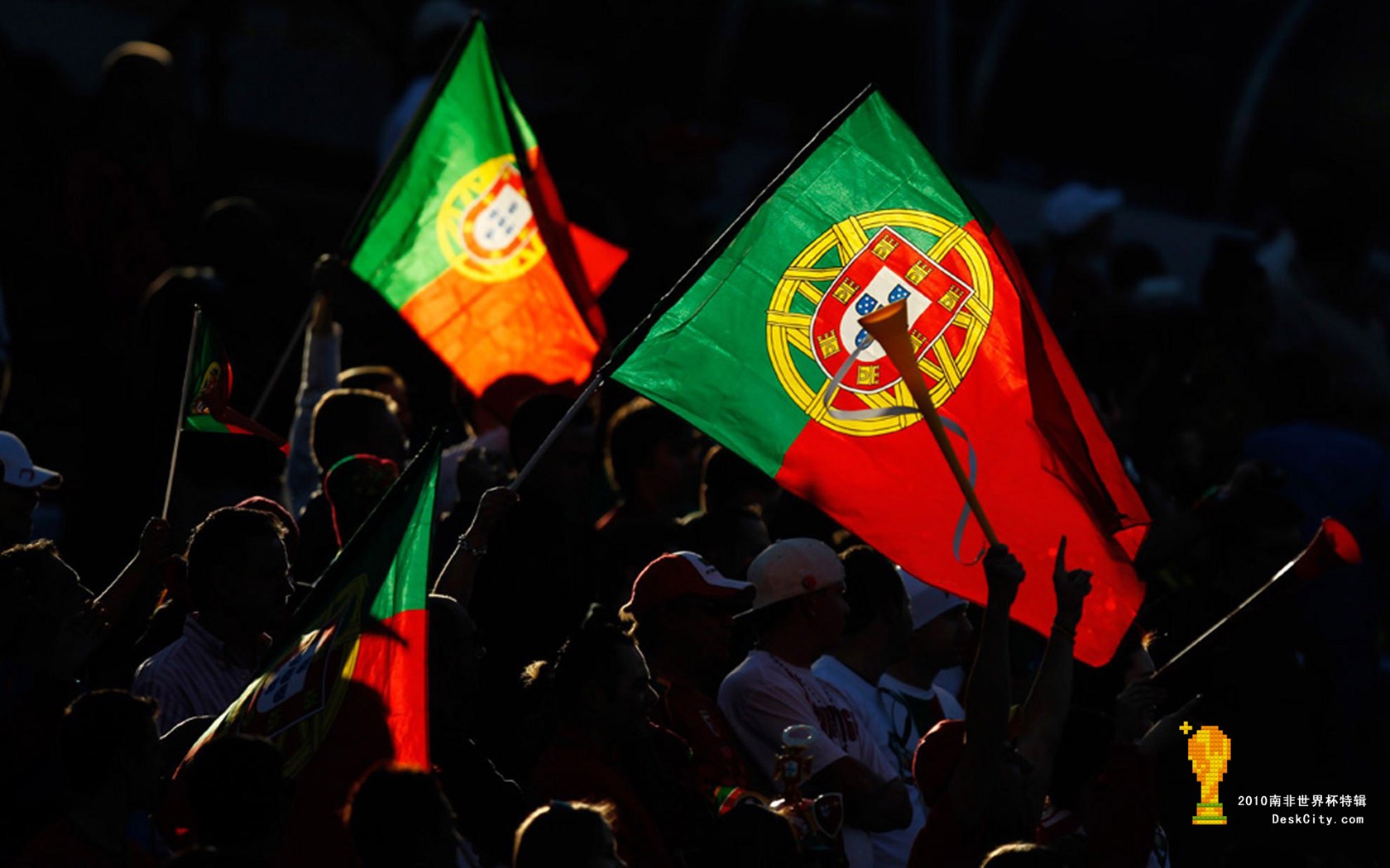 South Africa World Cup series wallpaper (2) #3 - 1680x1050