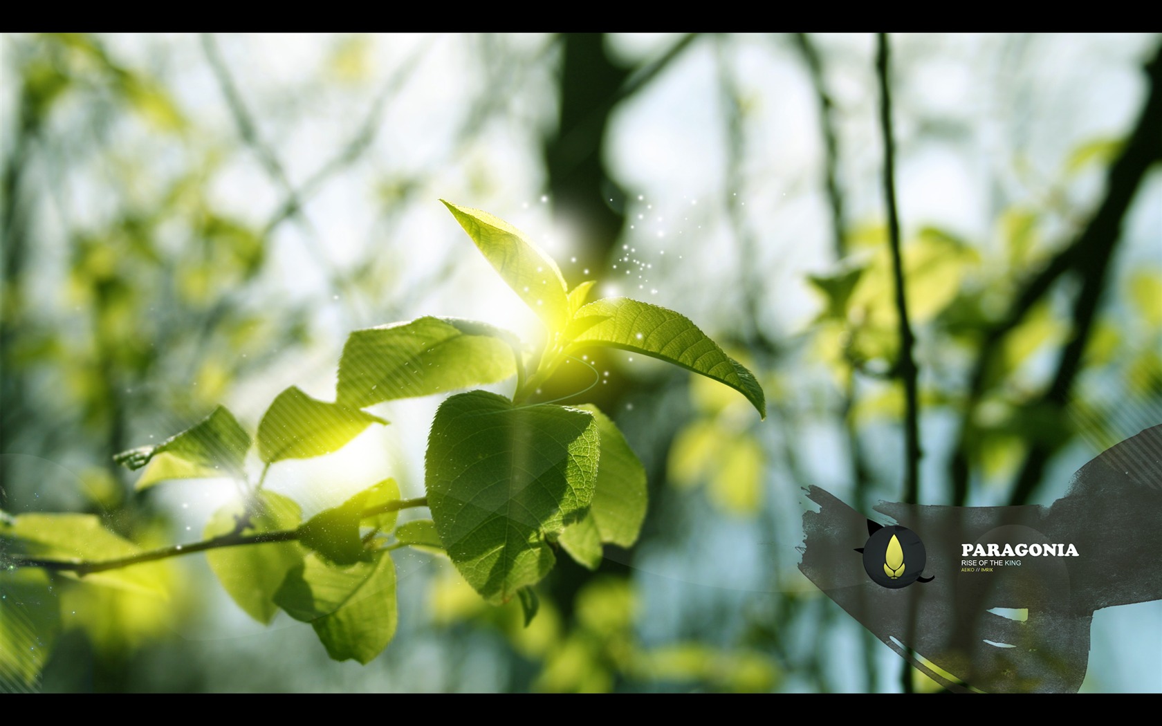 Large green leaves close-up flower wallpaper (1) #17 - 1680x1050