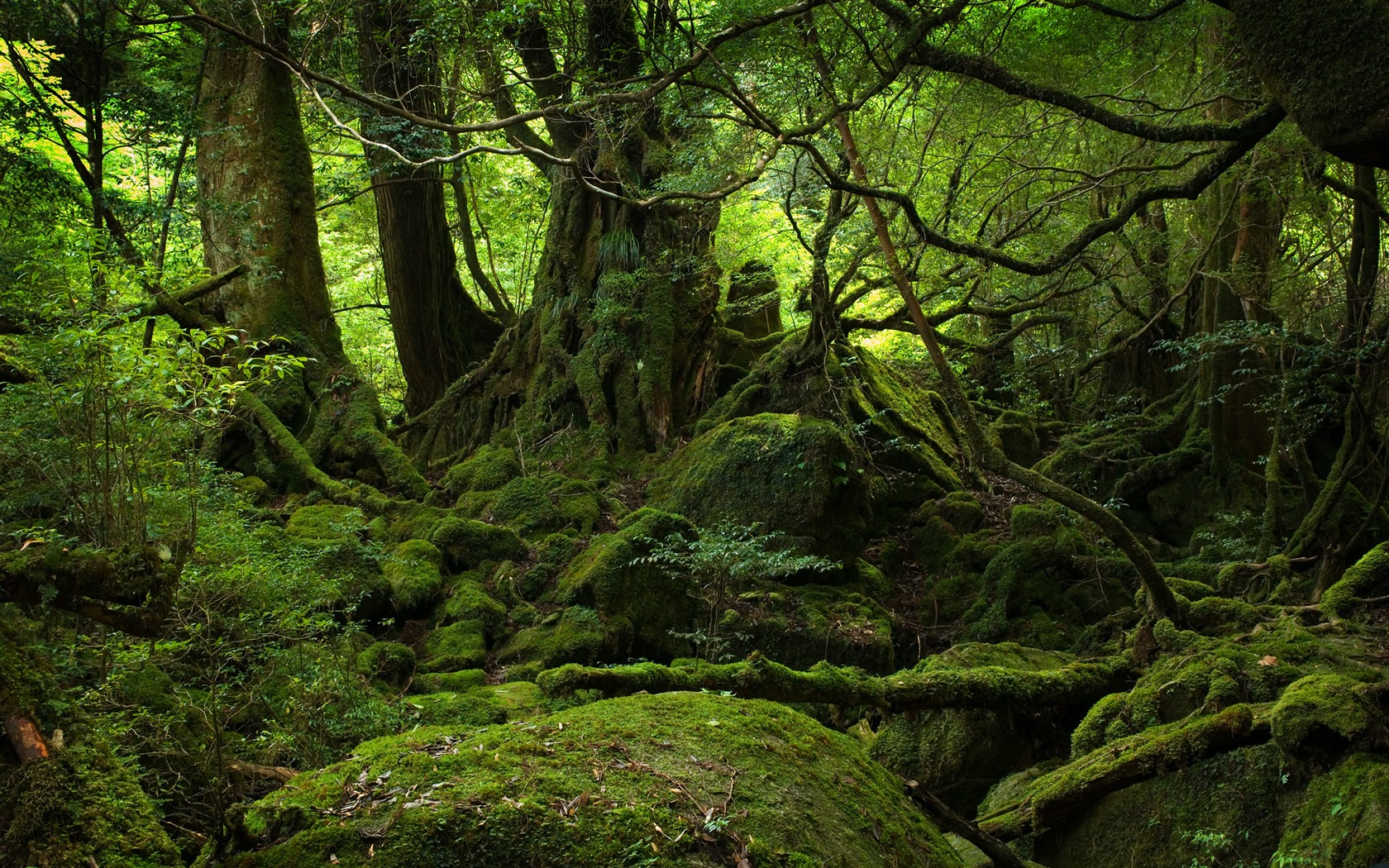 超大風光合集 壁紙(三) #13 - 1680x1050