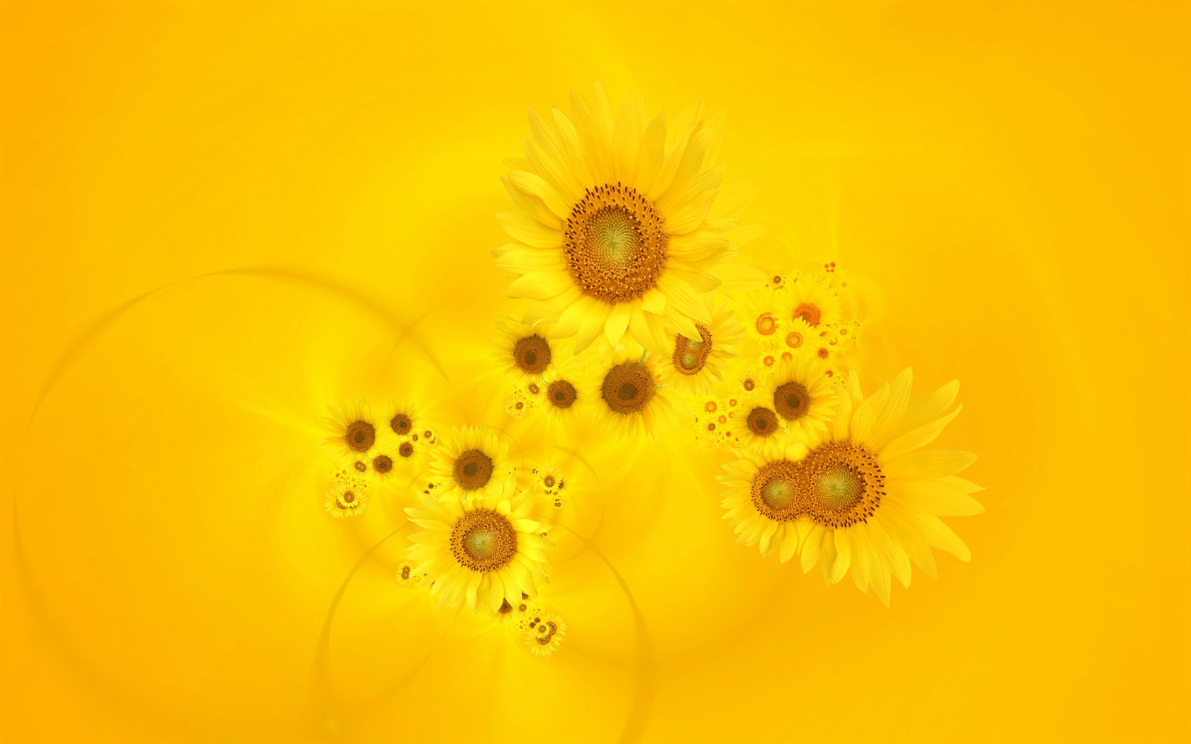 Beautiful Sonnenblumen Nahaufnahme Wallpaper (2) #5 - 1680x1050