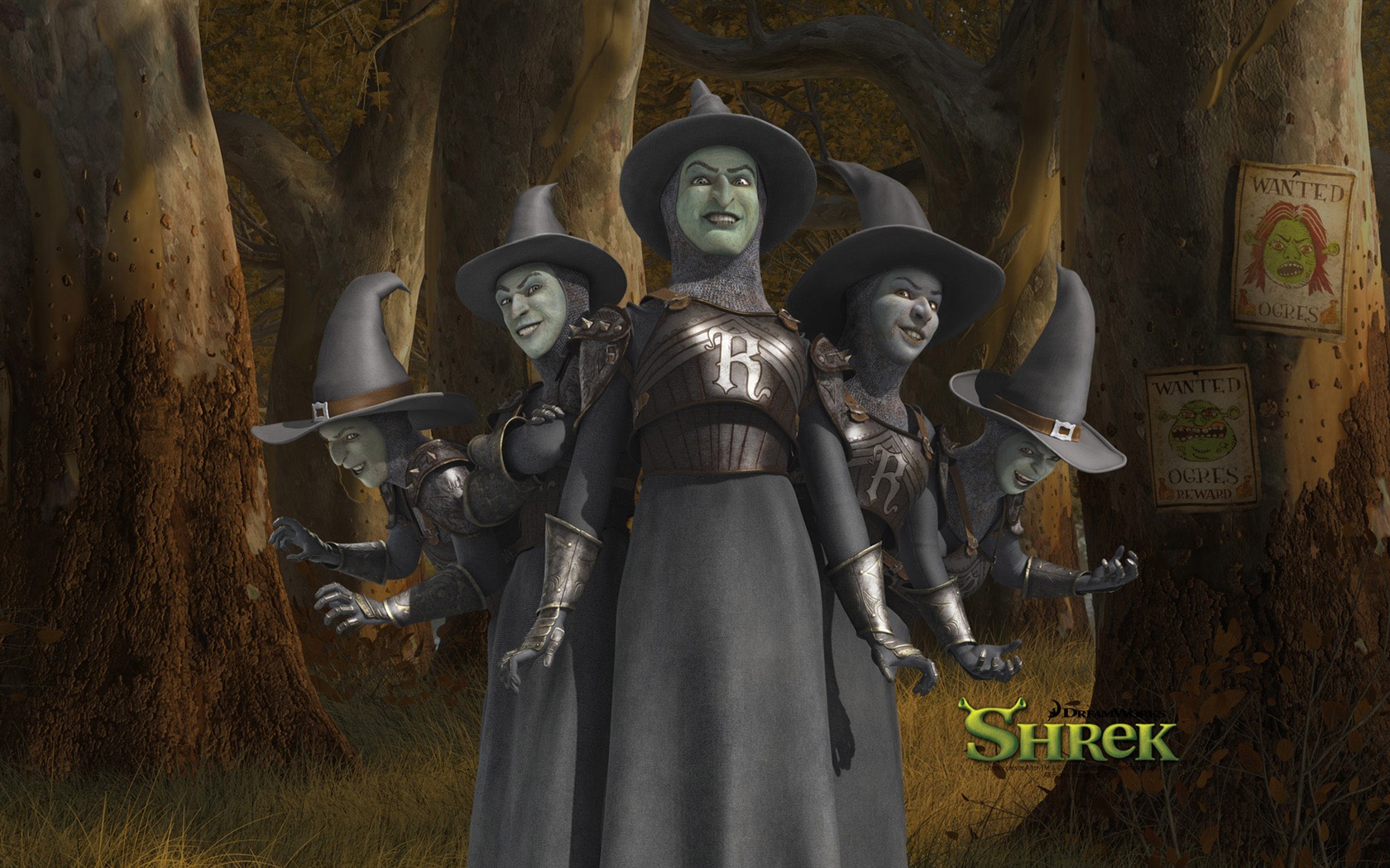 Shrek Forever Po wallpaper HD #7 - 1680x1050