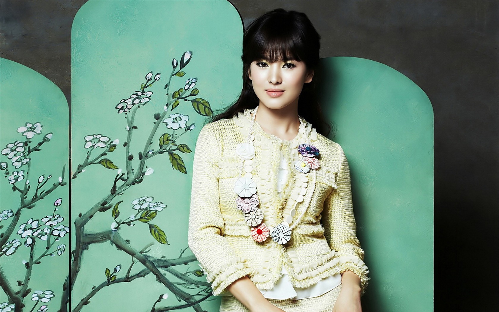 SHK krásnou tapetu #8 - 1680x1050