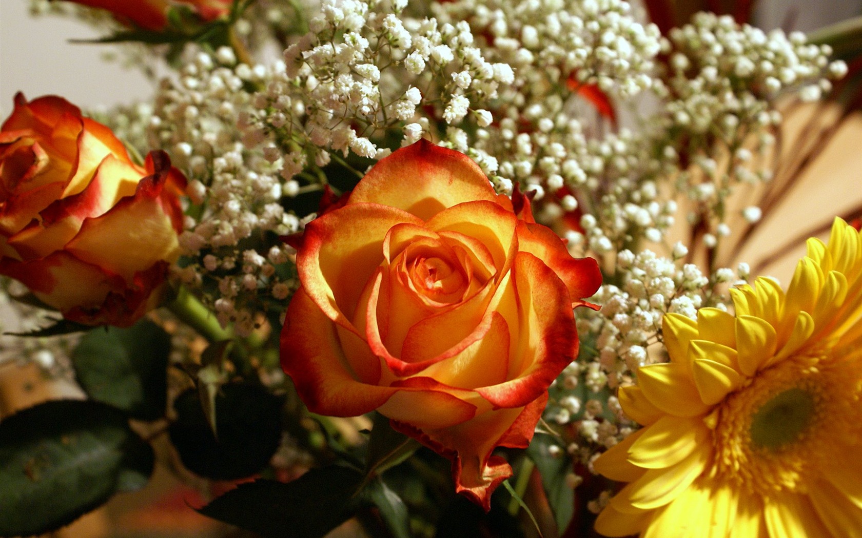 Widescreen wallpaper flowers close-up (18) #19 - 1680x1050