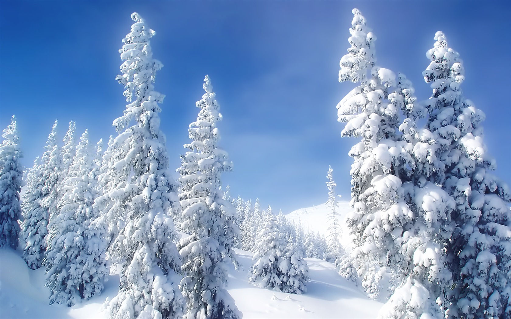 Scenery Collection Wallpapers (30) #19 - 1680x1050
