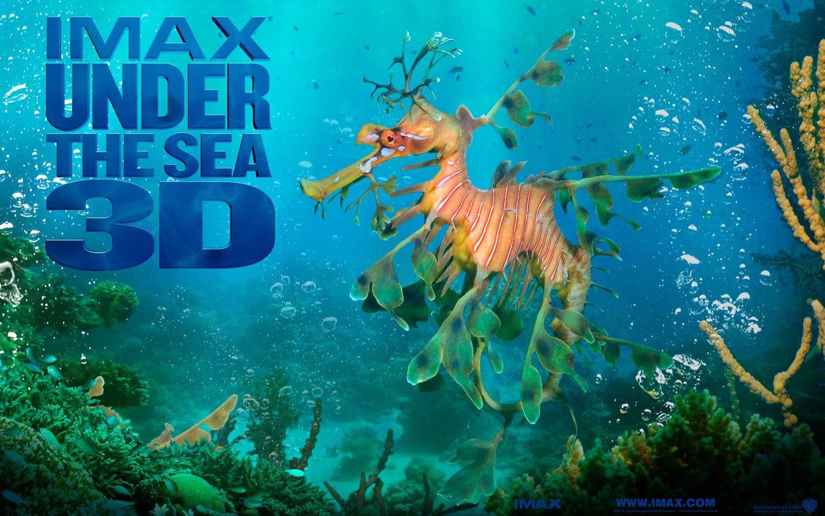Under the Sea 3D HD wallpaper #50 - 1680x1050
