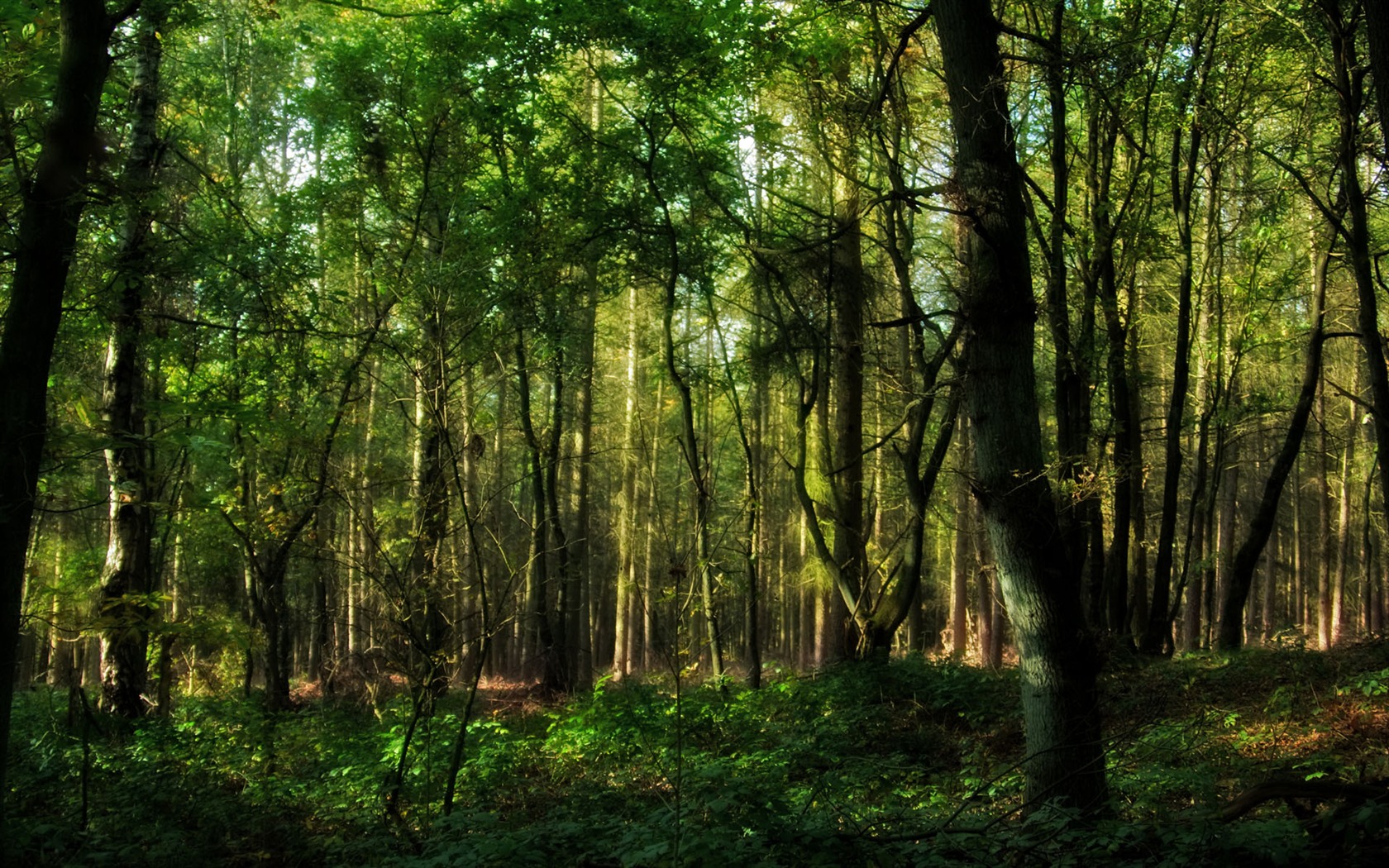 Scenery Collection Wallpapers (31) #3 - 1680x1050