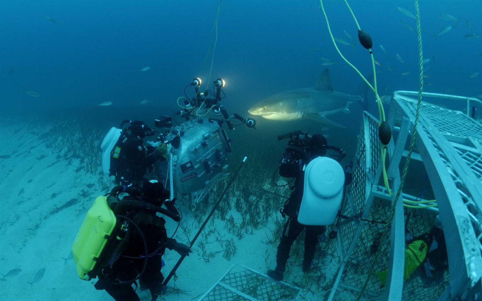 Under the Sea 3D 海底世界3D 高清壁紙 #37 - 1680x1050
