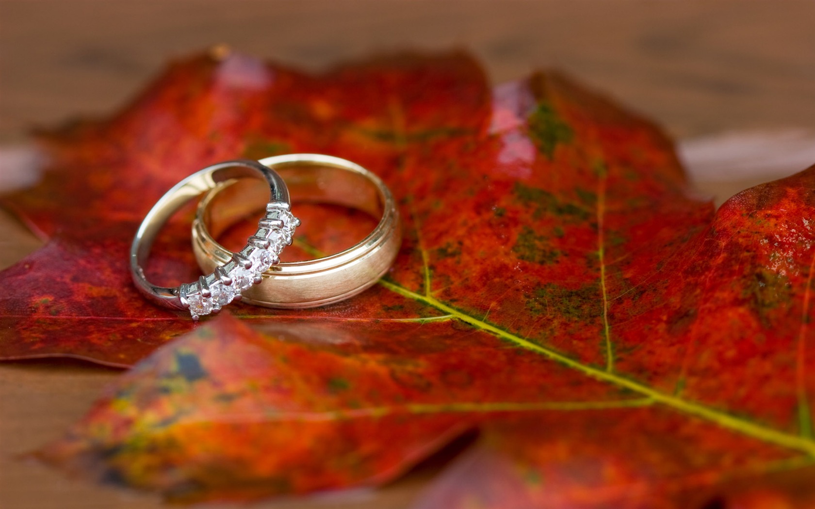 Weddings and wedding ring wallpaper (2) #16 - 1680x1050