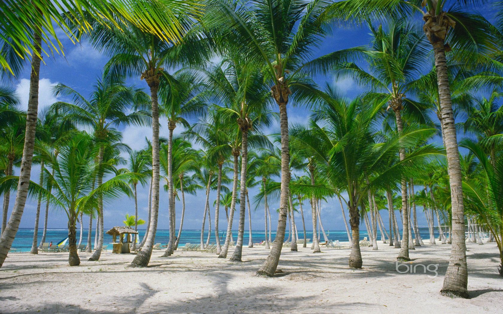 bing theme wallpaper (2) #15 - 1680x1050