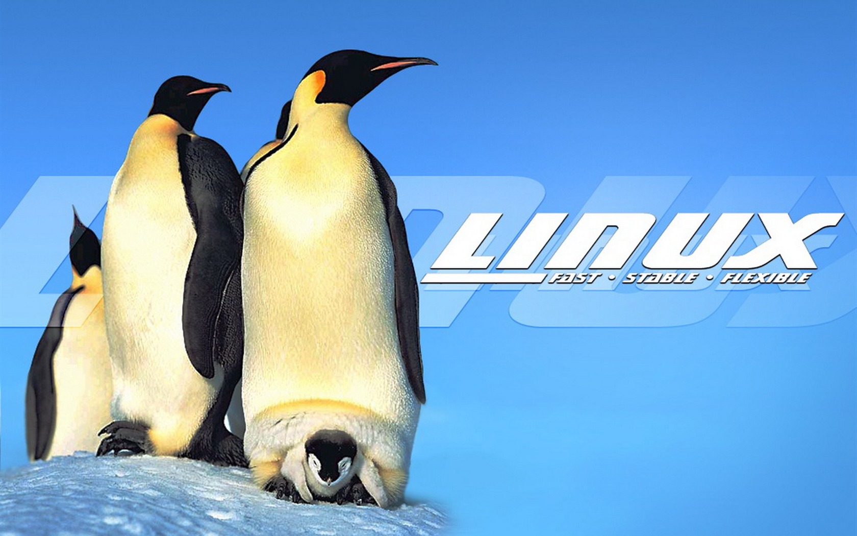 Linux tapety (1) #20 - 1680x1050