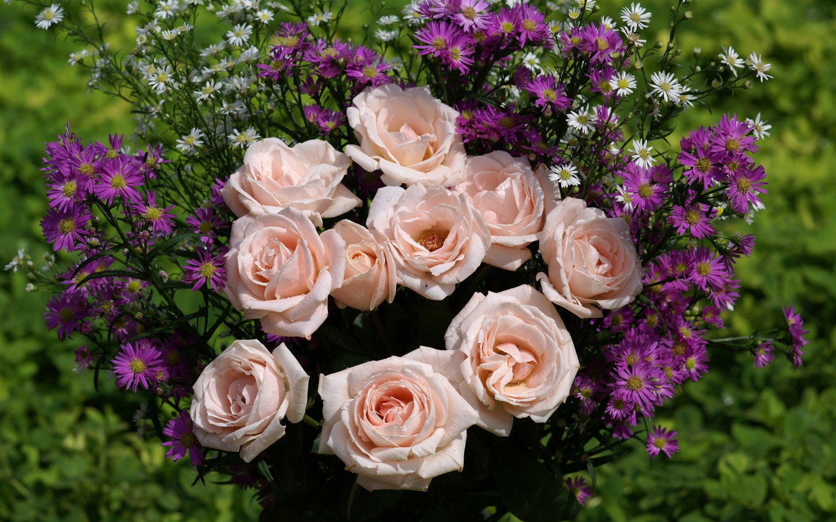 Rose Foto tapety (9) #6 - 1680x1050