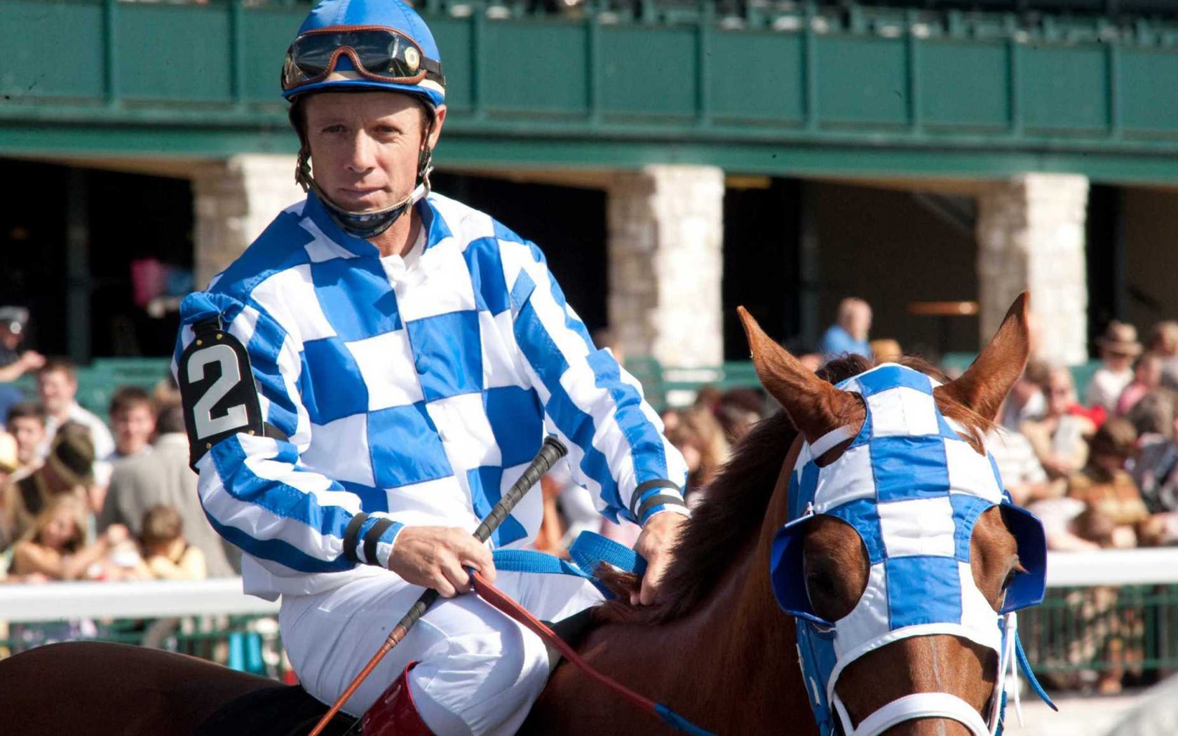 Secretariat HD wallpaper (2) #5 - 1680x1050