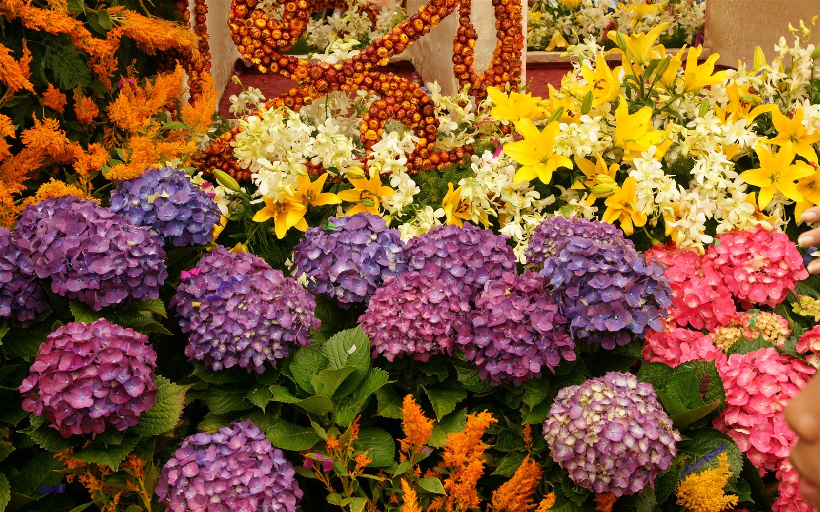 fleurs colorées décorent fond d'écran (4) #14 - 1680x1050