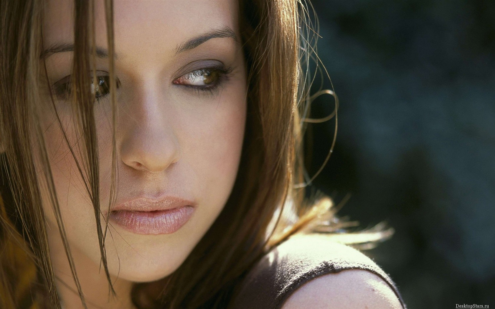 Lacey Chabert krásnou tapetu #18 - 1680x1050