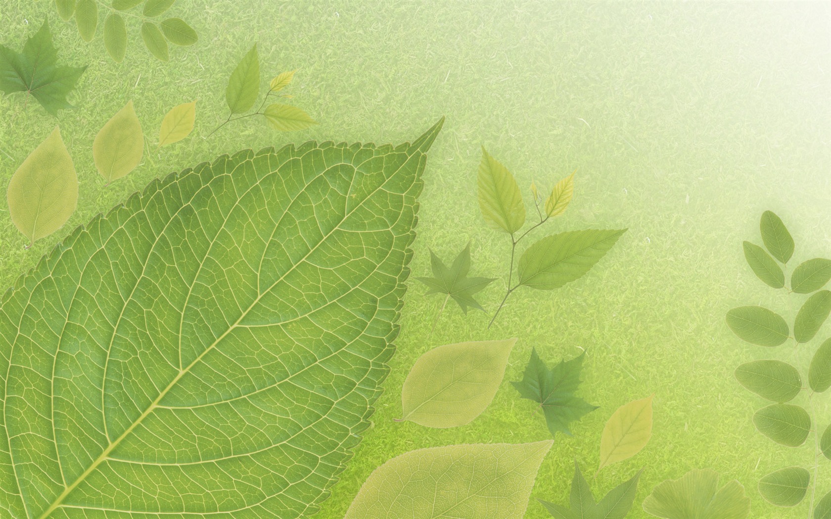 Green et de papier peint naturelles (4) #6 - 1680x1050