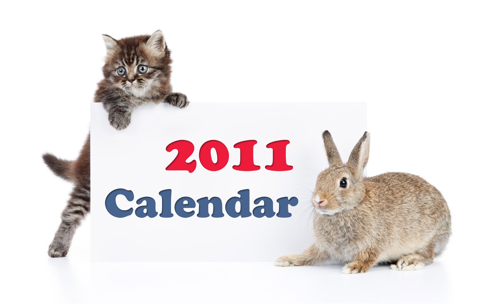 Year of the Rabbit 2011 calendar wallpaper (1) #13 - 1680x1050