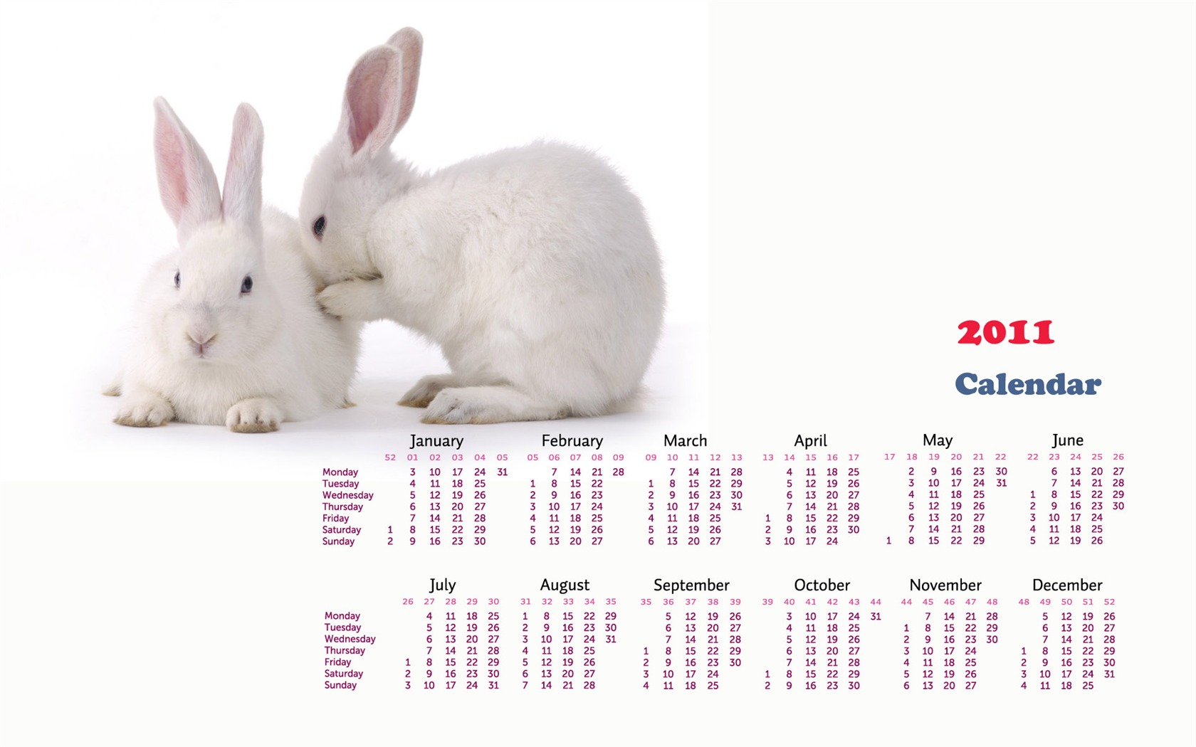 Year of the Rabbit 2011 calendar wallpaper (1) #17 - 1680x1050
