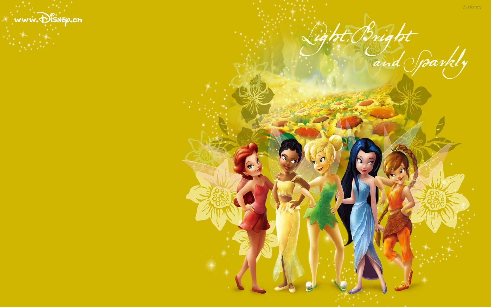 Princezna Disney karikatury tapety (2) #10 - 1680x1050