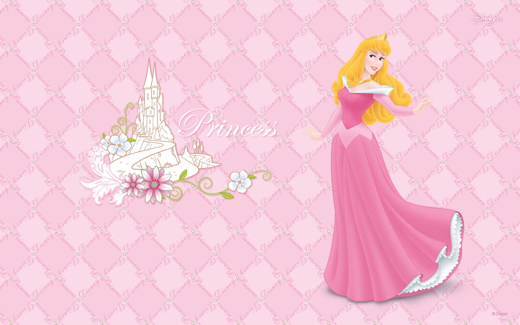 Princezna Disney karikatury tapety (3) #10 - 1680x1050
